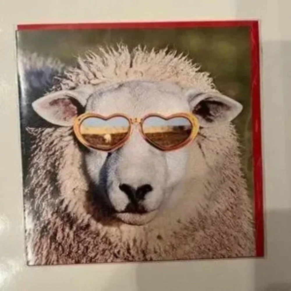 Greeting Cards‎ / Friendship / Blank  (Bundle of 5 cards!) (new)